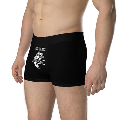 "Does This Make My Bass Look Big" Men's Boxer Briefs