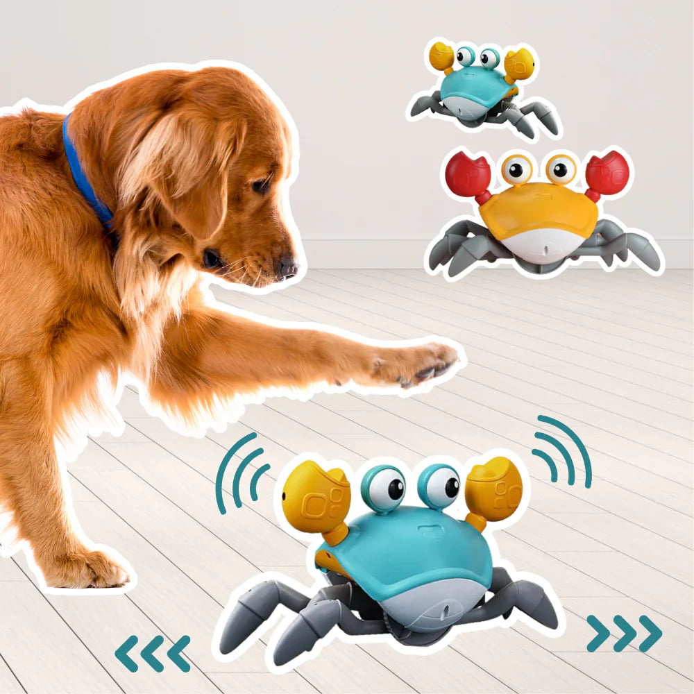 Automatic Crawling Crab Dog/Cat Toy