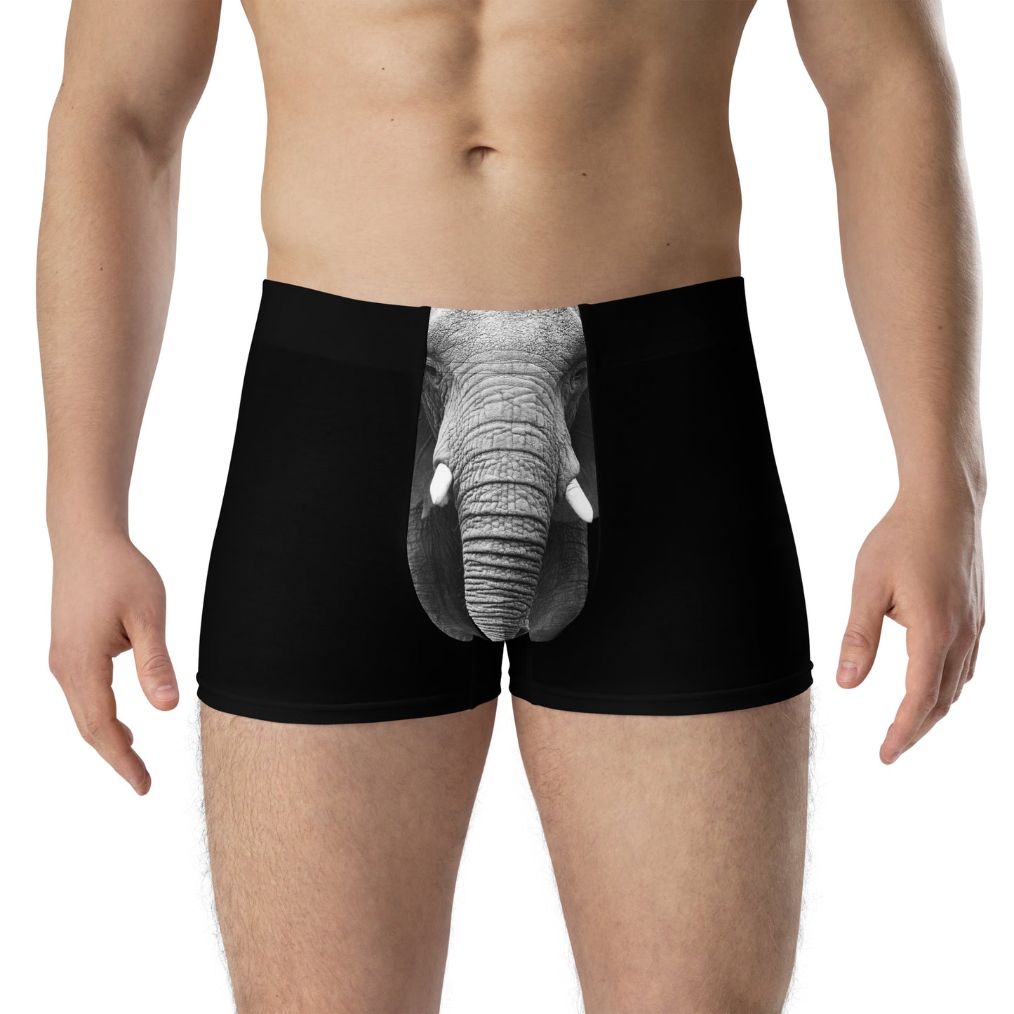 "Elephant" Men's Boxer Briefs